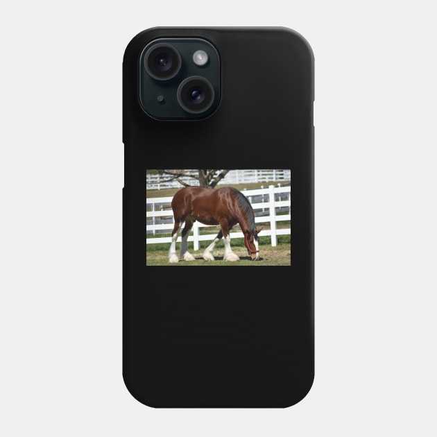 Clydesdale Phone Case by MarieDarcy