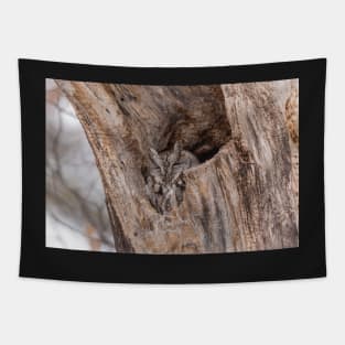 Eastern Screech Owl Tapestry