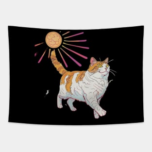 Cat Tarot Meow Mysteries Unraveled Tapestry