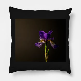 Purple Siberian iris still life Pillow