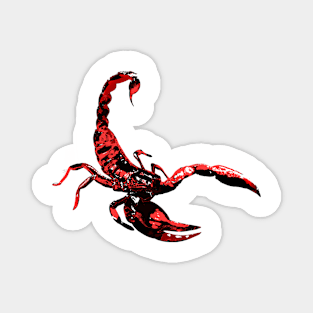 Scorpion Art v1 Magnet