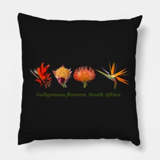 Indigenous Flowers of South Africa Pillow