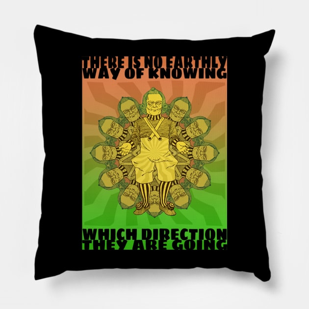 No Earthly Way of Knowing Pillow by Frankenbuddha