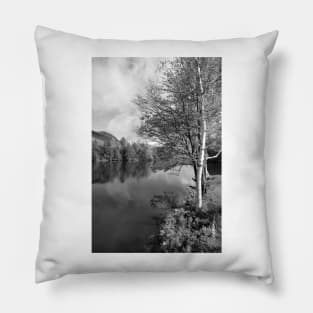 Lake Birch Trees Pillow