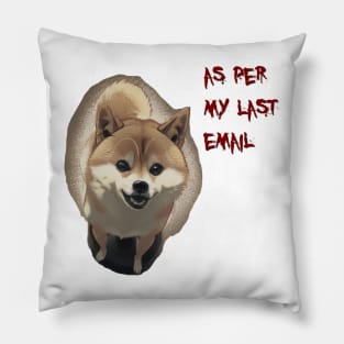 As Per My Last Email Pillow