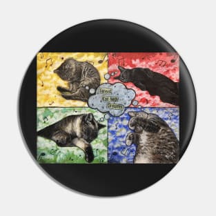 Sweet cat nap dreams Pin