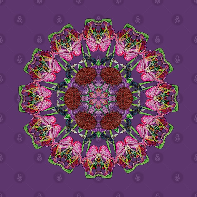 Carolinian Wildflowers Kaleidoscope by ThisIsNotAnImageOfLoss