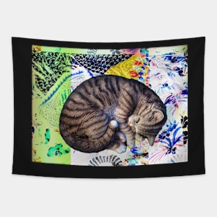 Patchwork cat Tapestry