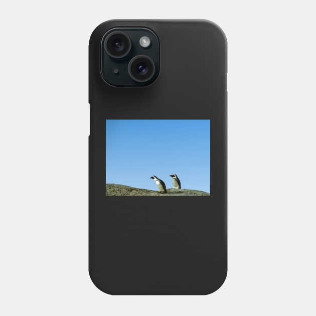 Pair of African Penguins, Boulder Beach, South Africa Phone Case by Carole-Anne