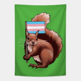 Squirrel with a Trans Flag Tapestry