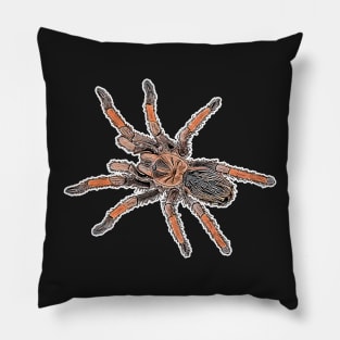 Brachypelma emilia Pillow