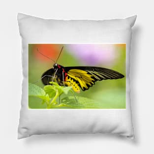 Wild life design Pillow