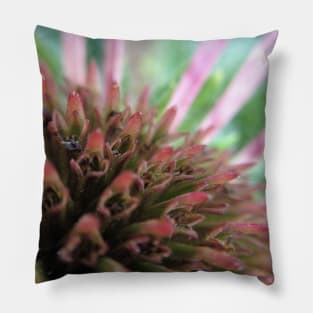 Coneflower Pillow