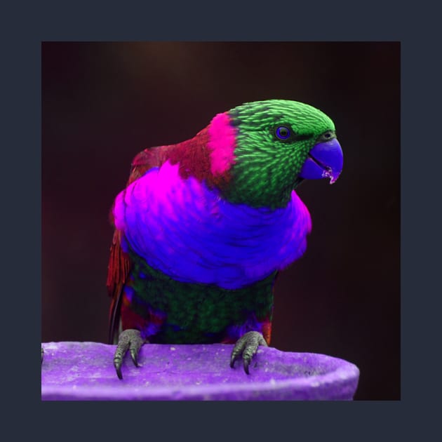 Neon Parrot by MinnieWilks