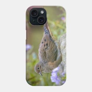 Mourning Dove On Bird Bath Phone Case