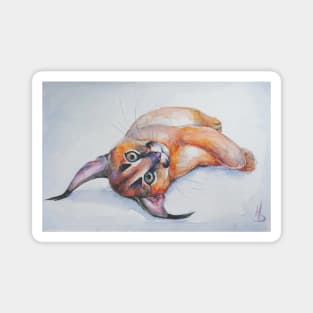 Multi-colored caracal kitten painted in watercolor. Magnet