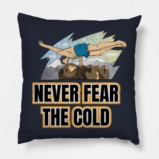 Vintage Never Fear the Cold Pillow