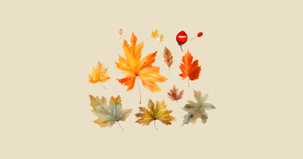 The leaves are falling from the trees and they are changing color