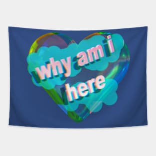 Why am I here? Tapestry