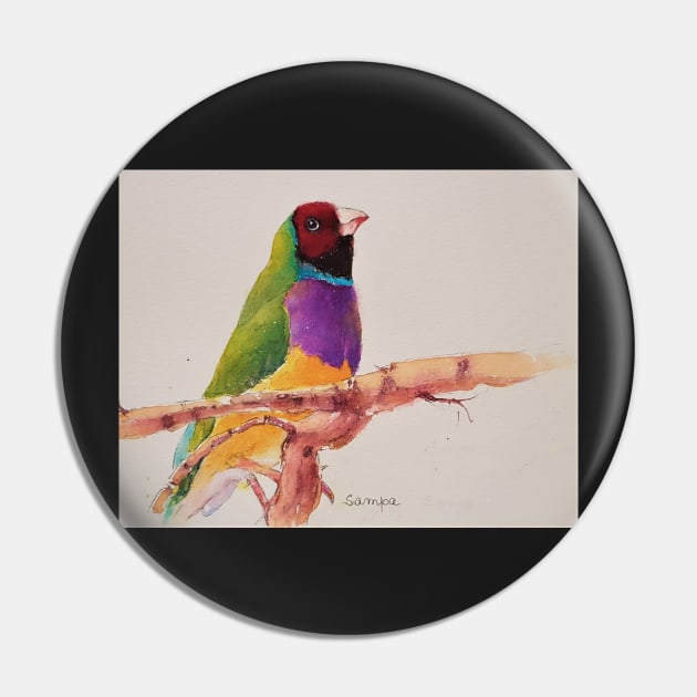 Gouldian Finch Pin by sampabhakta