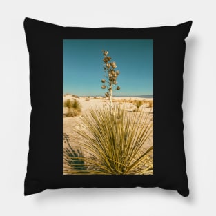 Soaptree Yucca Pillow