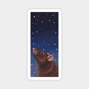 Agouti Brown Rat Stargazing Magnet