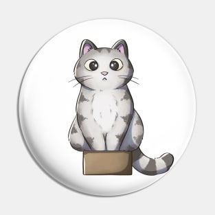 Tabby Cat Sitting In Small Box Pin