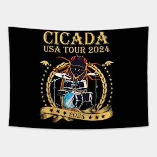 Cicada USA tour 2024 Tapestry