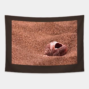 Seasnail shell with hole on the sandy beach, nostalgic photography Tapestry