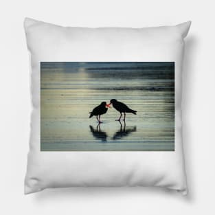 Two black oystercatchers silhouetted with orange beaks crossed, back-lit. Pillow