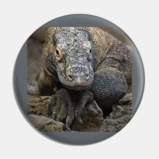 Komodo Dragon Pin