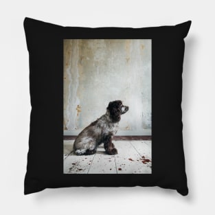 Profile of Cocker Spaniel Sitting in Shabby Apartment Pillow