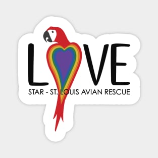 Parrot Love Rainbow Magnet