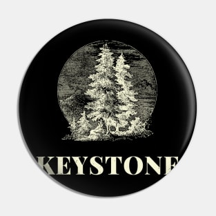 Keystone Vintage Pin