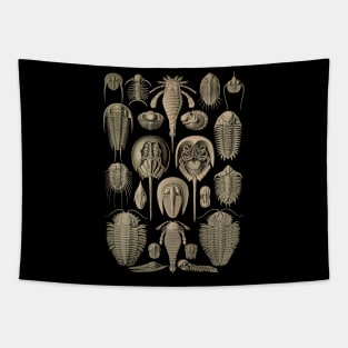 Ernst Haeckel Aspidonia Tapestry