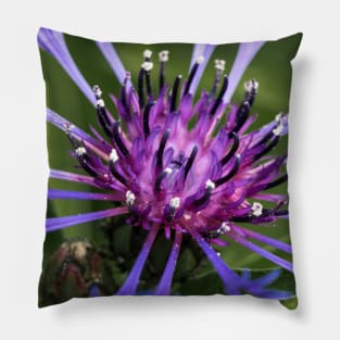 The purple heart of a flower. Pillow