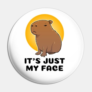 It's just my face Capybara Pin