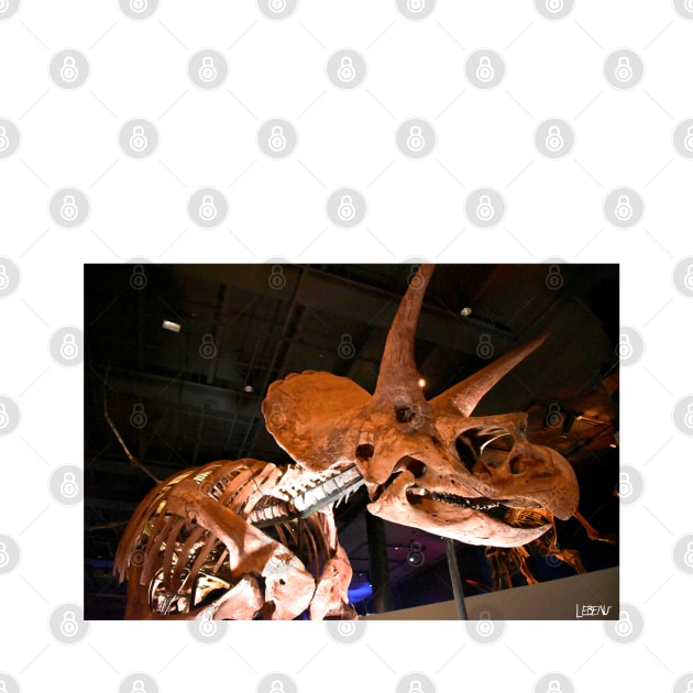 the triceratops dinosaur fossil in museum portrait ecopop photo art by jorge_lebeau