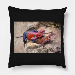 East African Rainbow Agama Lizards Mating Pillow