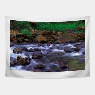 Mountain Stream Tapestry