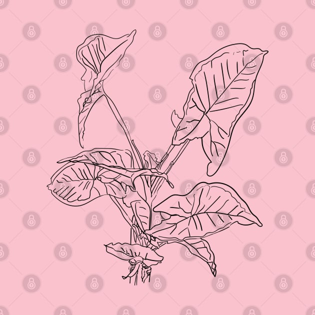 Arrowhead inddor house plant lineart by Earthy Planty