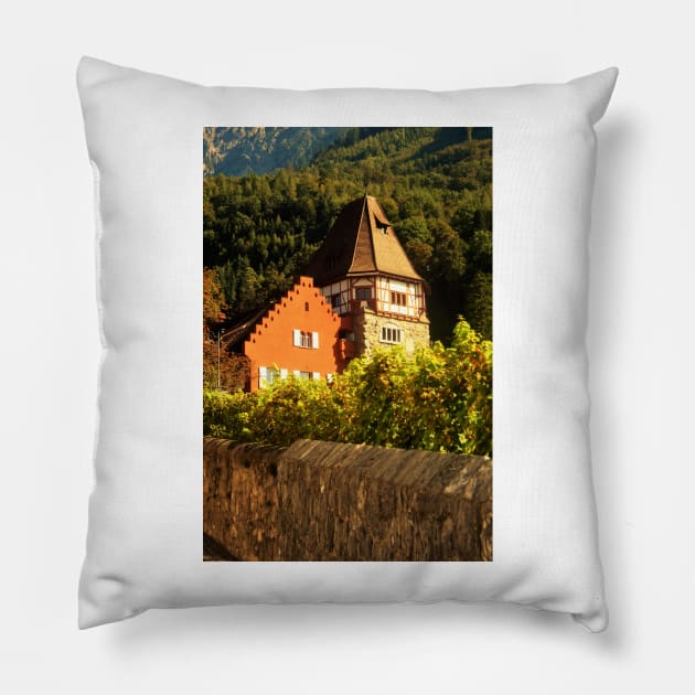 Vaduz, Liechtenstein Pillow by golan22may