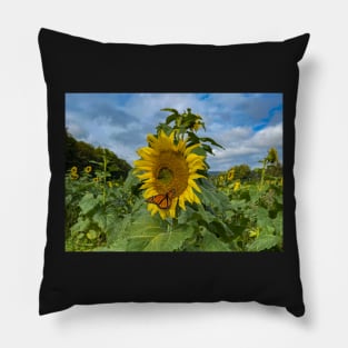 Orange Butterfly and Sunflower Pillow