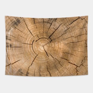 Wooden Tree Circle Texture - Alternative II Tapestry