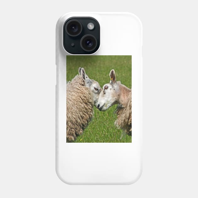 Sheep Fight! Phone Case by Furtographic