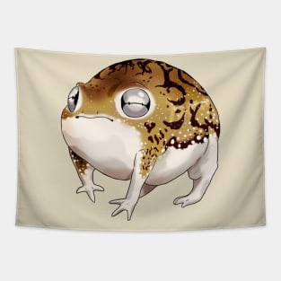 Desert rain frog (Breviceps macrops) Tapestry