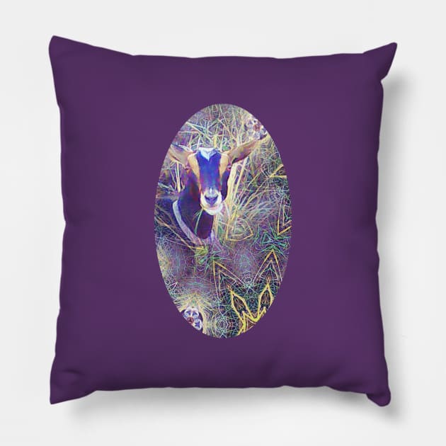 Psychedelic Chiva Pillow by damonbostrom