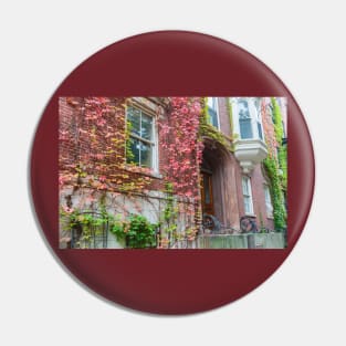 Victorian homes from street in Boston red brick exterior with Boston ivy in autumn colors Pin