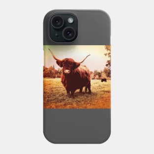 Highlands cow Phone Case