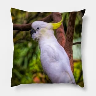 Yellow Crested Cockatoo Pillow